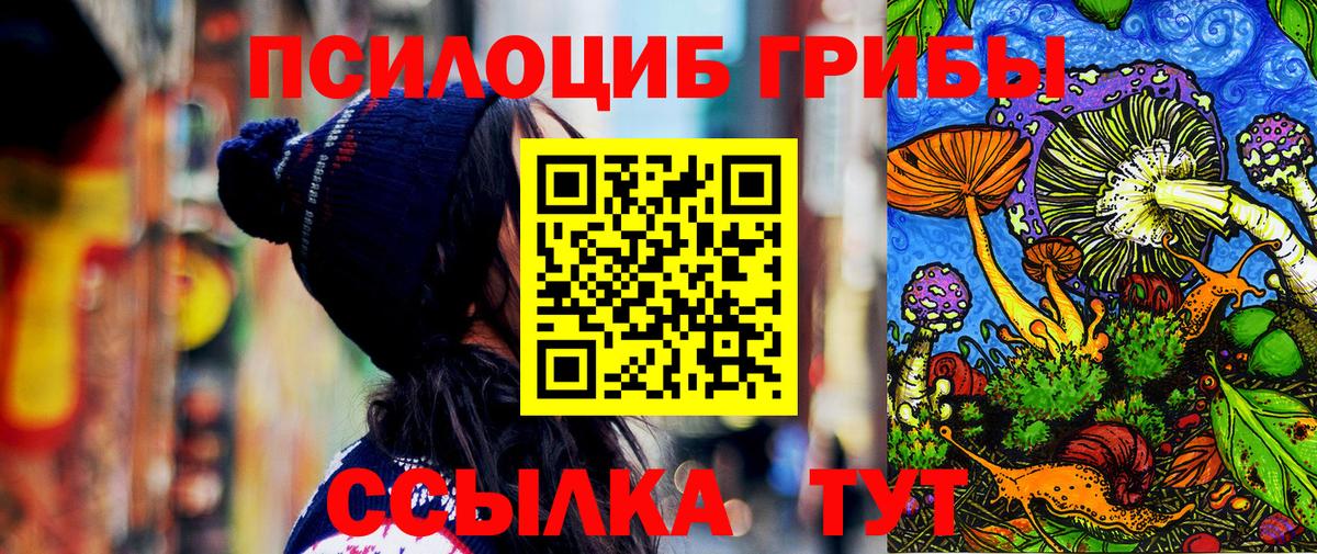 Галлюциногенные грибы Psilocybe Лесосибирск
