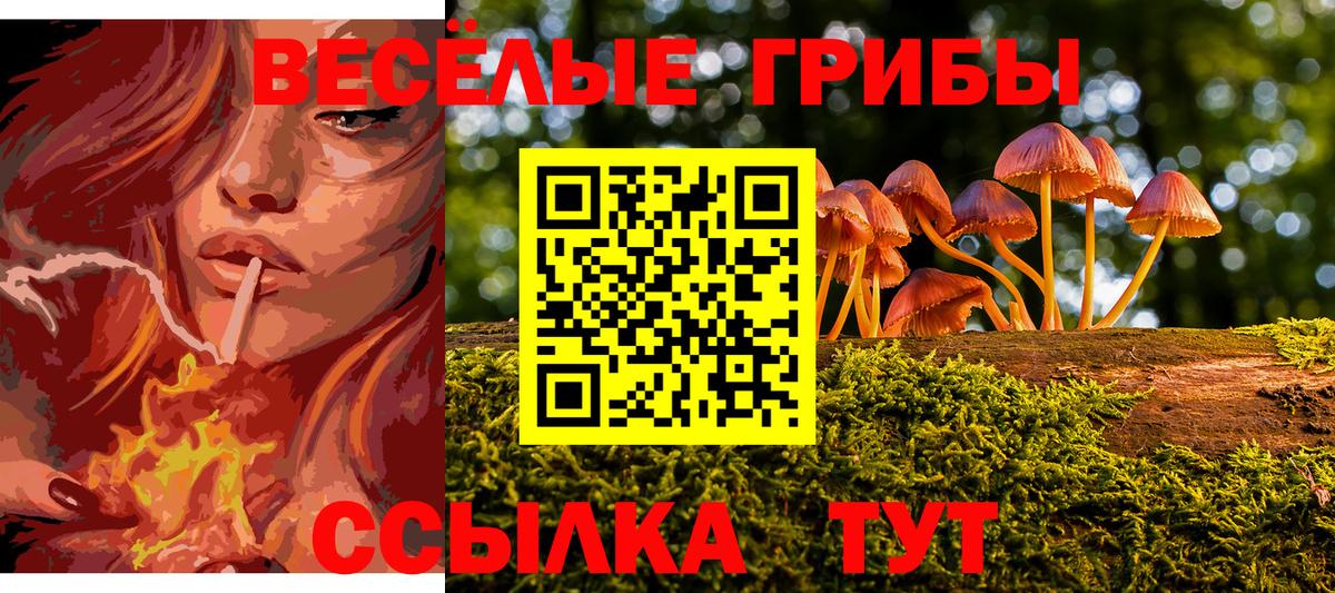 Псилоцибиновые грибы Psilocybe  Вход с VPN  Лесосибирск  Галлюциногенные грибы GOLDEN TEACHER 